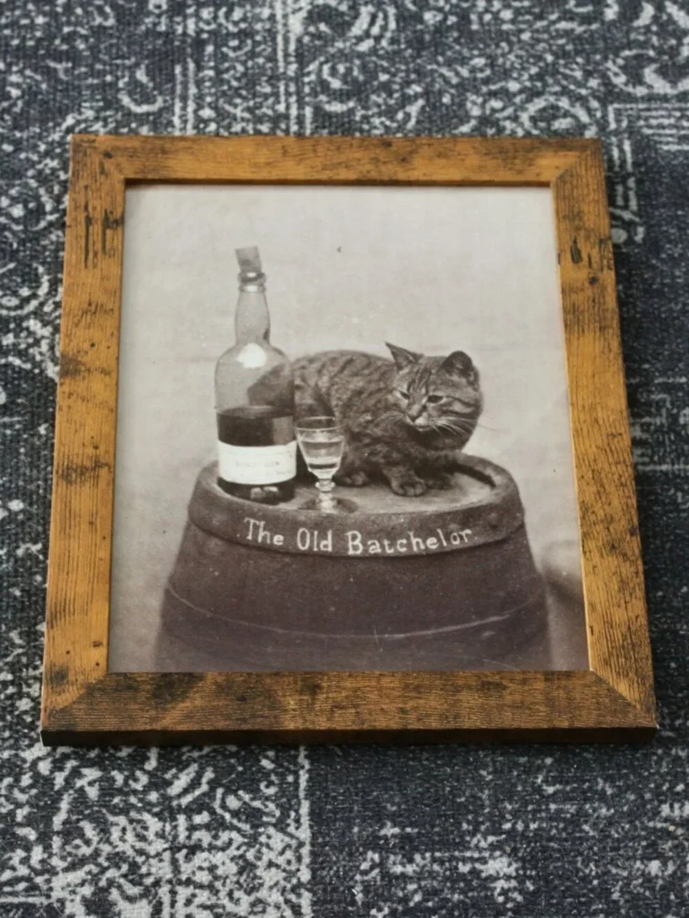 The Old Batchelor Vintage Cat Photo Print 8x10 Antique Wall Decor Artwork